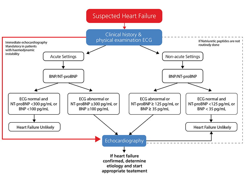 Adapted from 2016 ESC guidelines  ESC guidelines for the diagnosis and treatment of acute and chronic heart failure.  Eur Heart J doi:10.1093/eurheartj/ehw128
